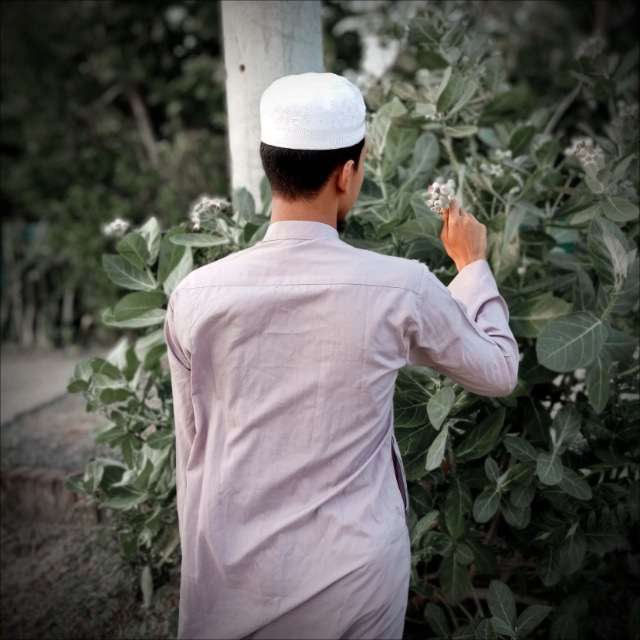 Nazmul Hasan Sayad